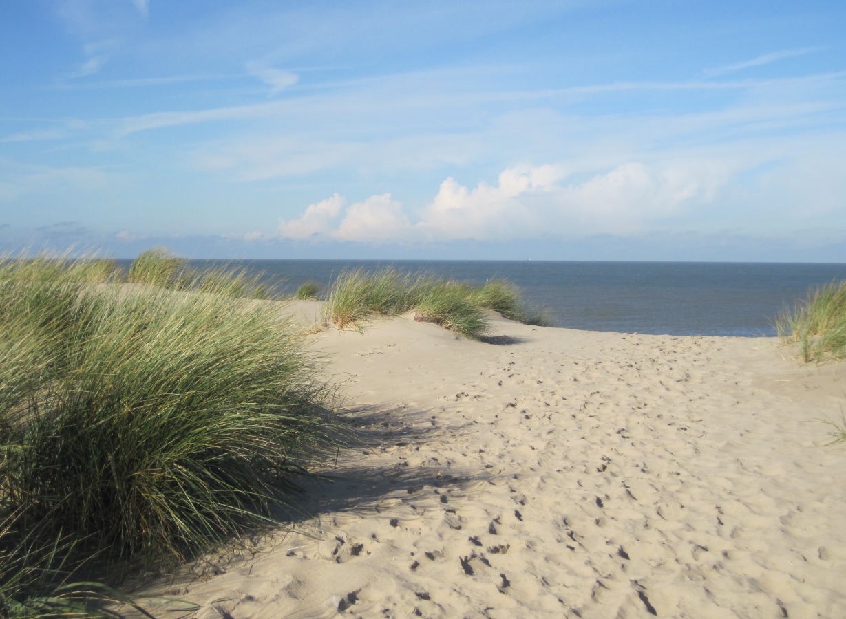 Holland fkk zeeland strand Naaktstranden in