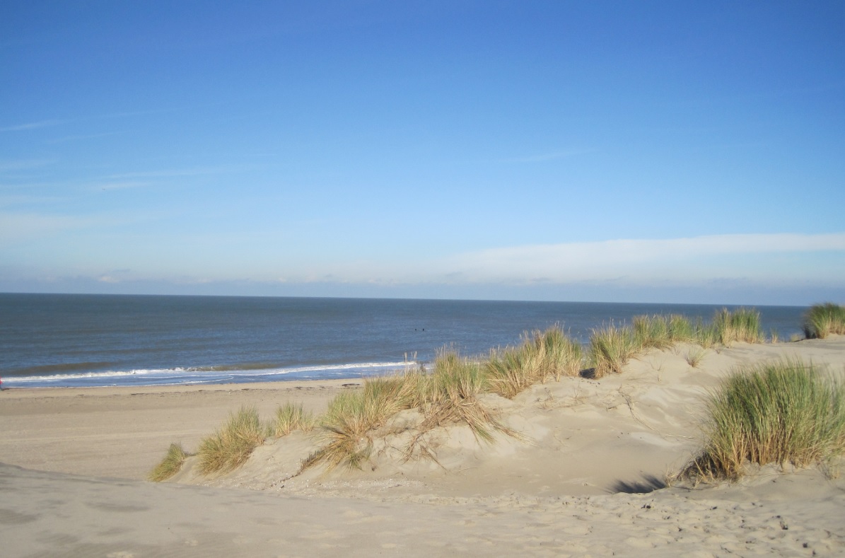 10 Tipps Zu Ferienhaus In Holland Kaufen Holland Ratgeber De