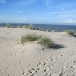 Nordsee in Holland