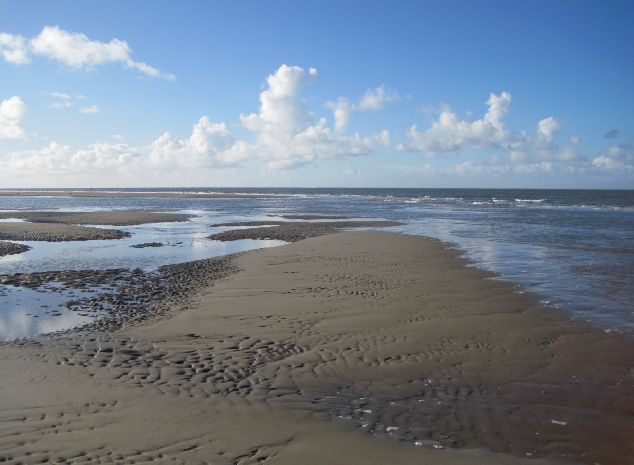 Strand  am Nordufer Texels